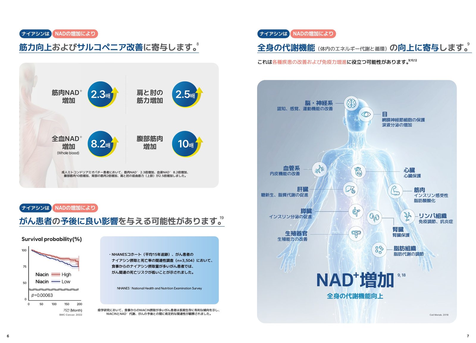 NAD+ 増加による全身の代謝機能向上 — 脳神経系（認知・感覚・運動機能の改善）、目（網膜神経節細胞保護）、心臓（心筋保護）、肝臓（糖新生・脂質代謝促進）、膵臓（インスリン分泌促進）、生殖器官（生殖能力改善）、血管系（内皮機能改善）、筋肉（インスリン感受性・脂肪酸酸化）、リンパ組織（免疫調節・抗炎症）、腎臓（腎臓保護）、脂肪組織（脂肪代謝調節）の図解